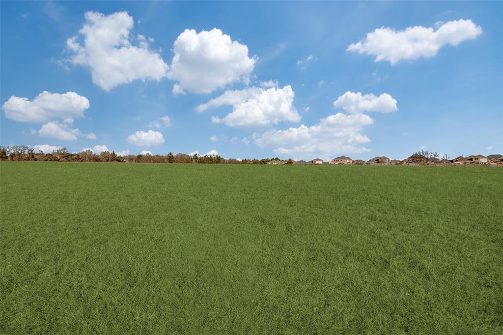 221 West Parkerville Road DeSoto, TX 75115 - Photo 2 of 13 a view of a lot of trees in the background