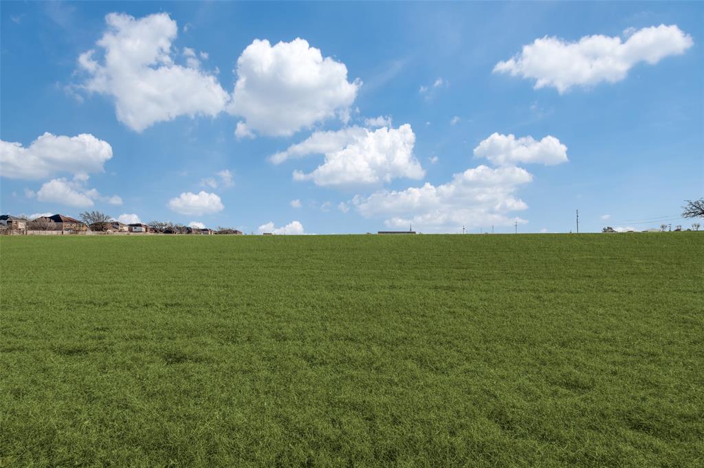 221 West Parkerville Road DeSoto, TX 75115 - Photo 7 of 13 a view of a in the background