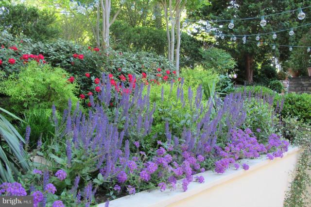 2814 Upton Street Northwest Washington, DC 20008 - Photo 27 of 30 Exterior (Front)