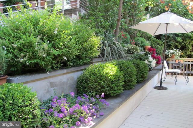 2814 Upton Street Northwest Washington, DC 20008 - Photo 28 of 30 Exterior (Front)