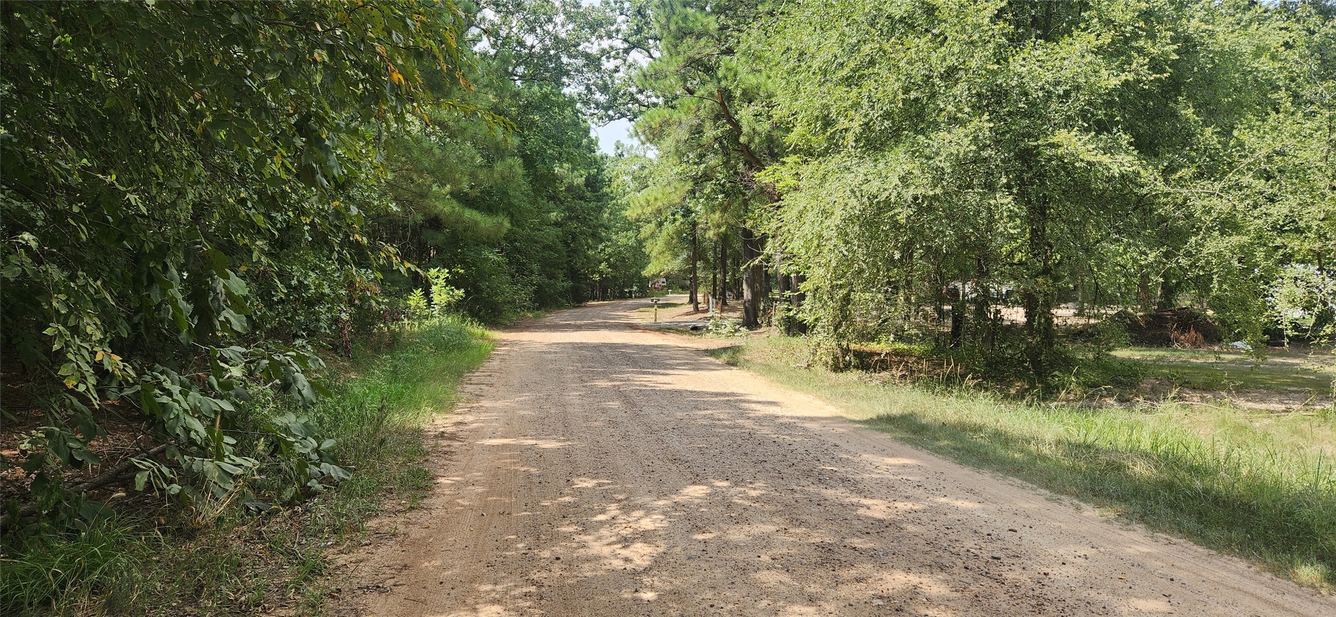 0 Tall Oak Road Hooks, TX 75561 - Photo 2 of 10 a pathway of a yard