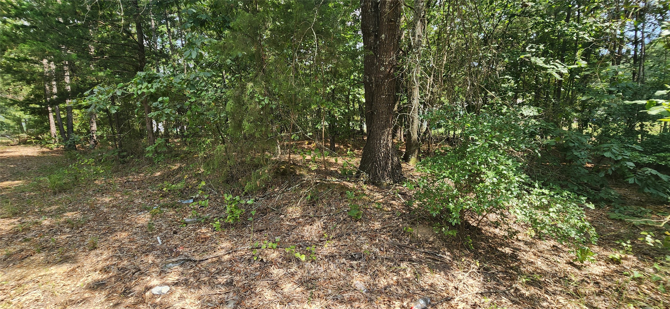 0 Tall Oak Road Hooks, TX 75561 - Photo 8 of 10 a view of a yard with a tree