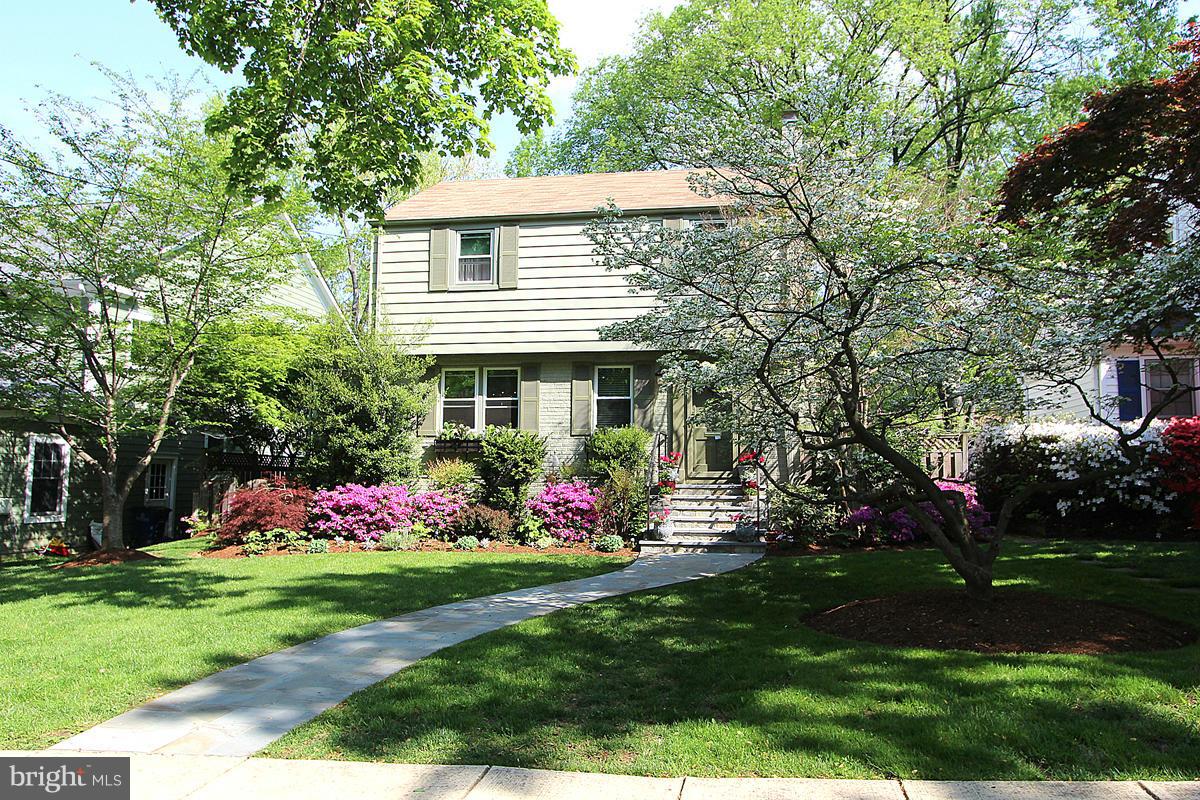 5923 Conway Road Bethesda, MD 20817 - Photo 3 of 26 Dogwoods, crepe myrtles, azaleas and more!