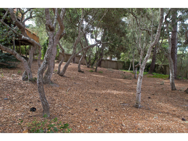 2984 Colton Road Pebble Beach, CA 93953 - Photo 19 of 22