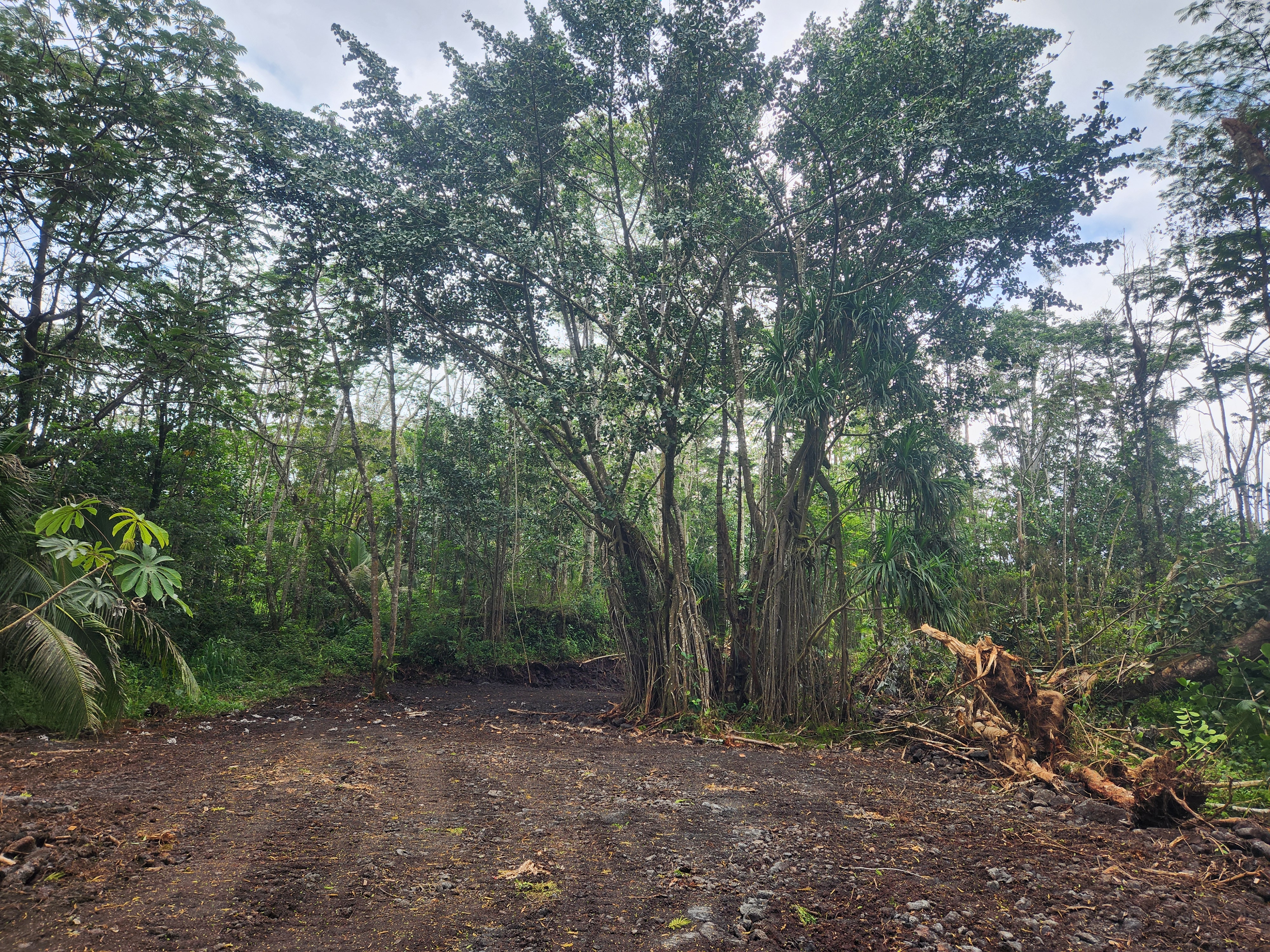 16 Rd A Pahoa, HI 96778 - Photo 7 of 30