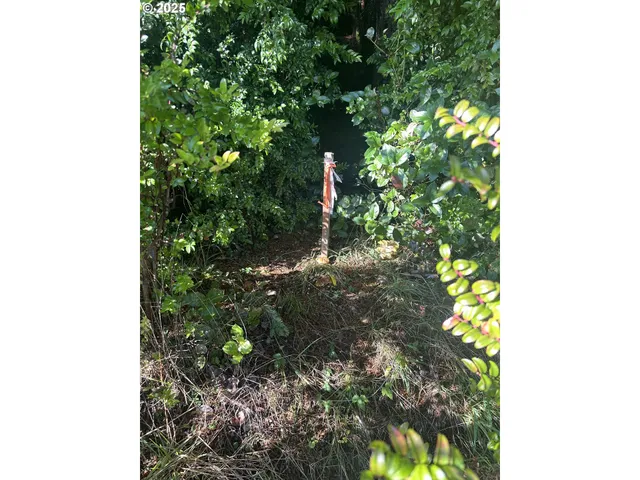 a backyard of a house