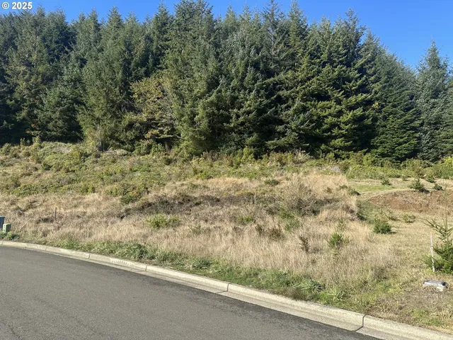 a view of a yard with an outdoor space