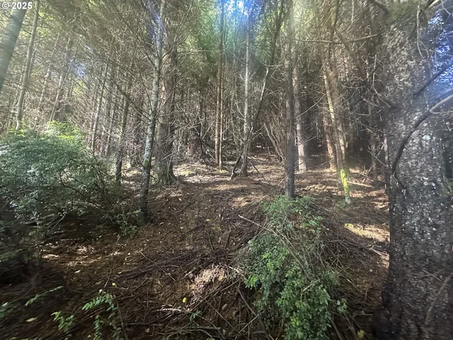 a view of outdoor space and trees