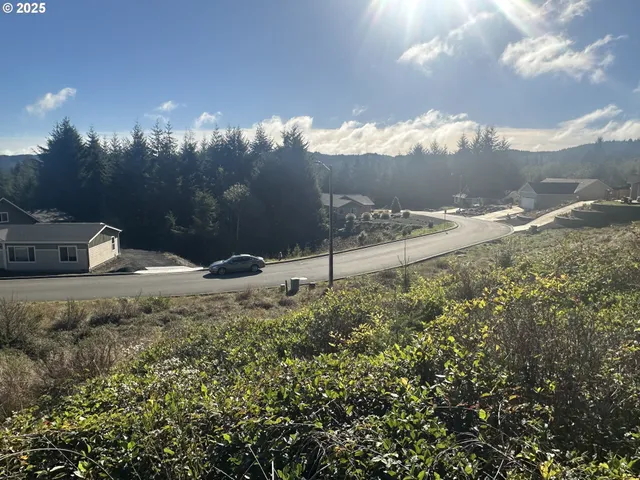 a view of a yard with a house in the background