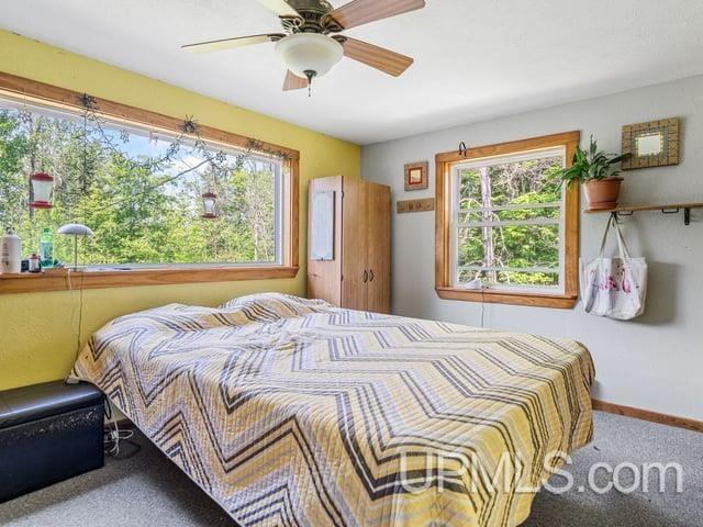 509 Dukes Road Skandia, MI 49885 - Photo 15 of 63
