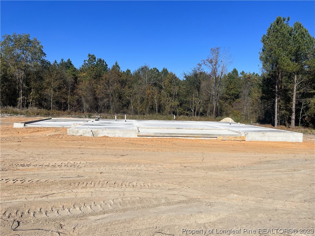 46 Micro Tower Road Lillington, NC 27546 - Photo 2 of 2 Gallery Image 2