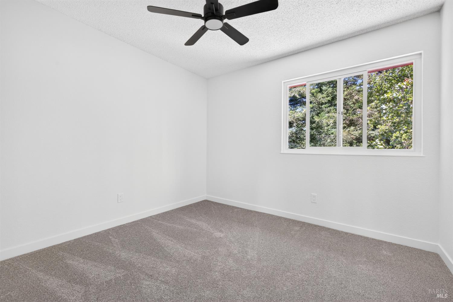 4601 Harbor Lane Rohnert Park, CA 94928 - Photo 27 of 38