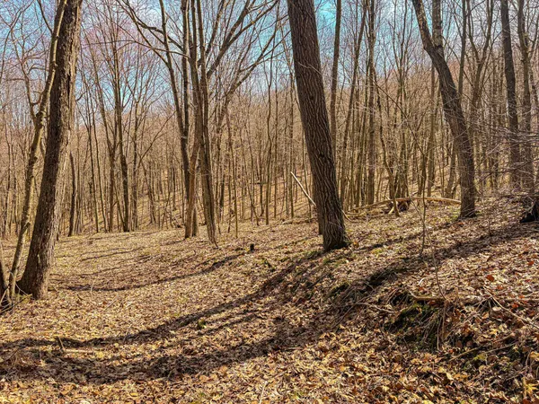 $325,000 | 0 Lovers Lane, Elroy, WI 53929