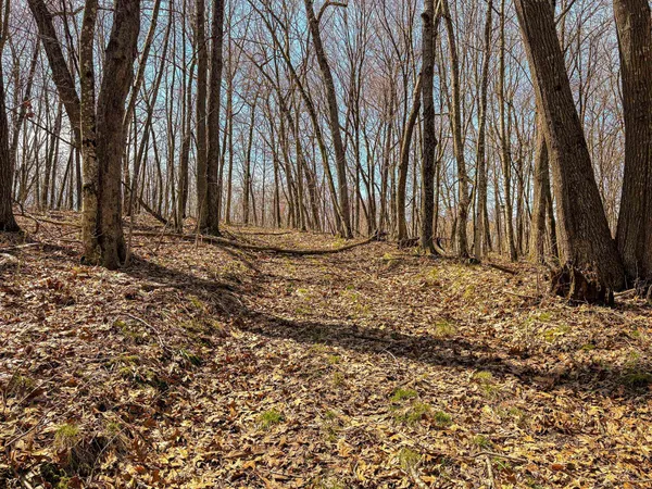 $325,000 | 0 Lovers Lane, Elroy, WI 53929