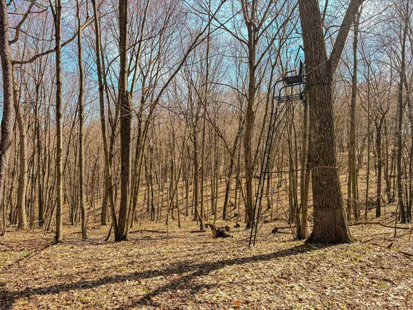 $325,000 | 0 Lovers Lane, Elroy, WI 53929