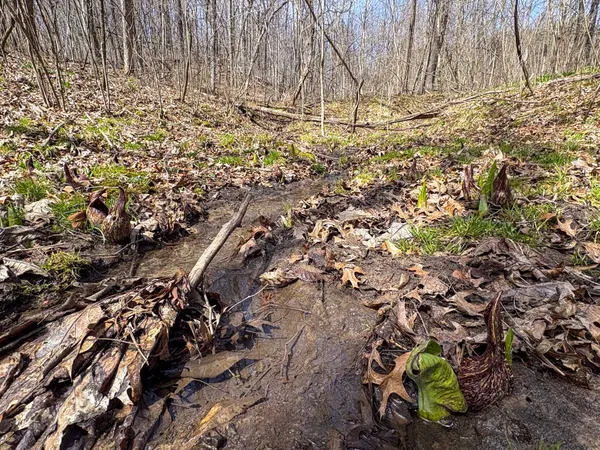 $325,000 | 0 Lovers Lane, Elroy, WI 53929