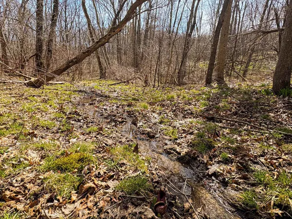 $325,000 | 0 Lovers Lane, Elroy, WI 53929