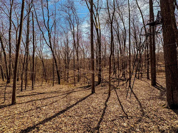 $325,000 | 0 Lovers Lane, Elroy, WI 53929