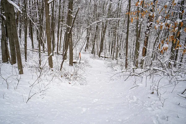 $325,000 | 0 Lovers Lane, Elroy, WI 53929