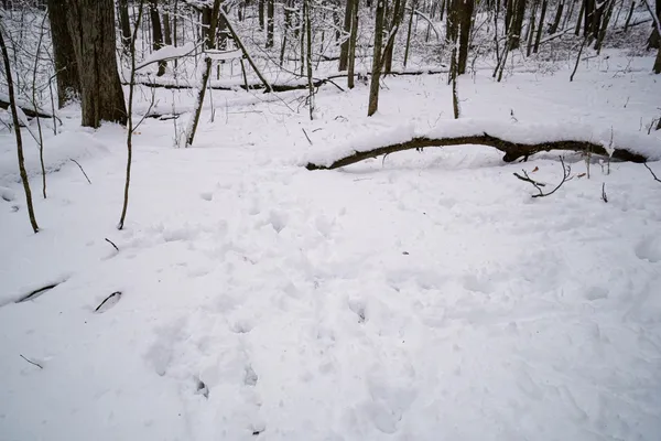 $325,000 | 0 Lovers Lane, Elroy, WI 53929