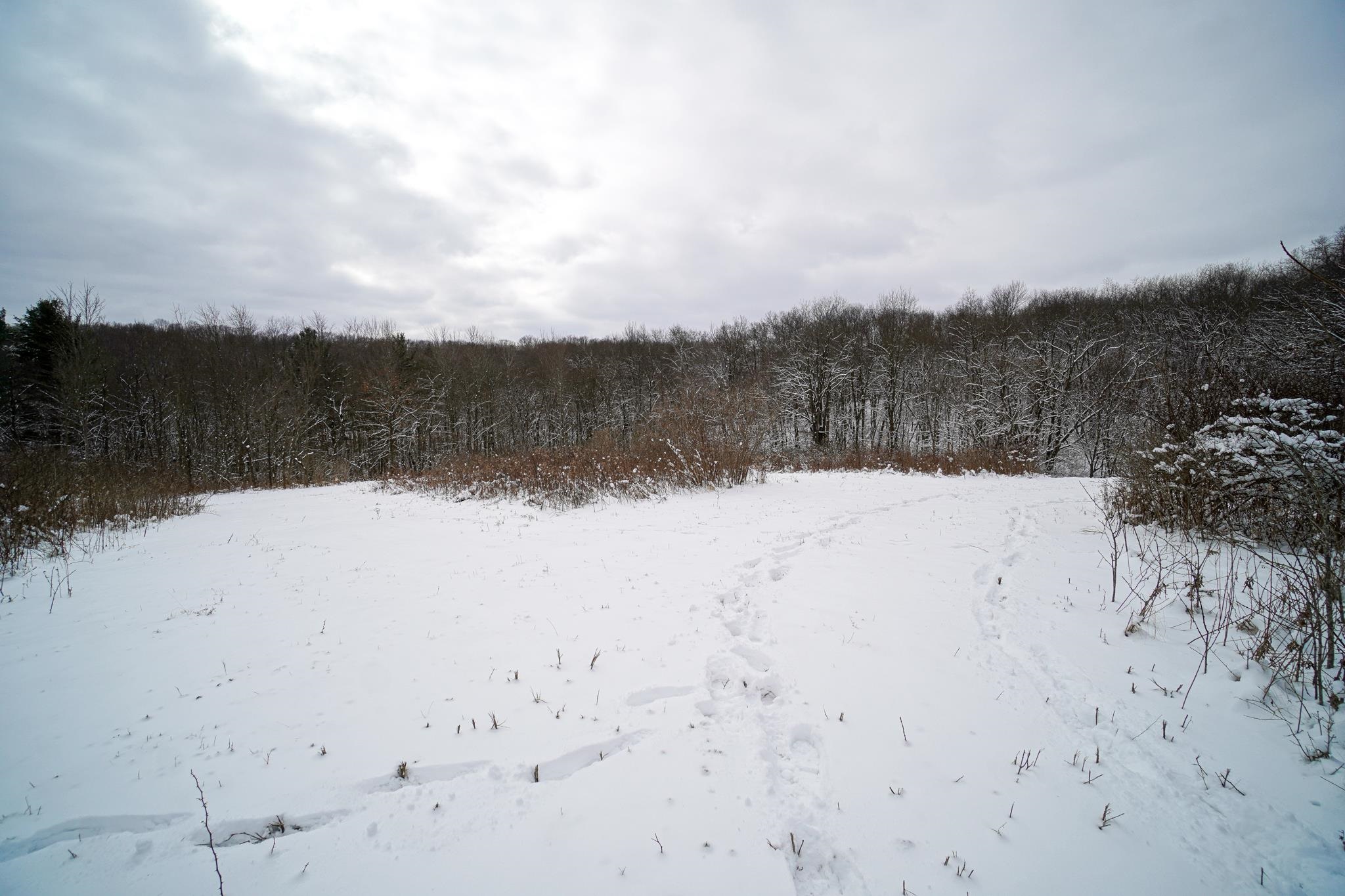 0 Lovers Lane Elroy, WI 53929 - Photo 30 of 46