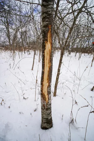 $325,000 | 0 Lovers Lane, Elroy, WI 53929