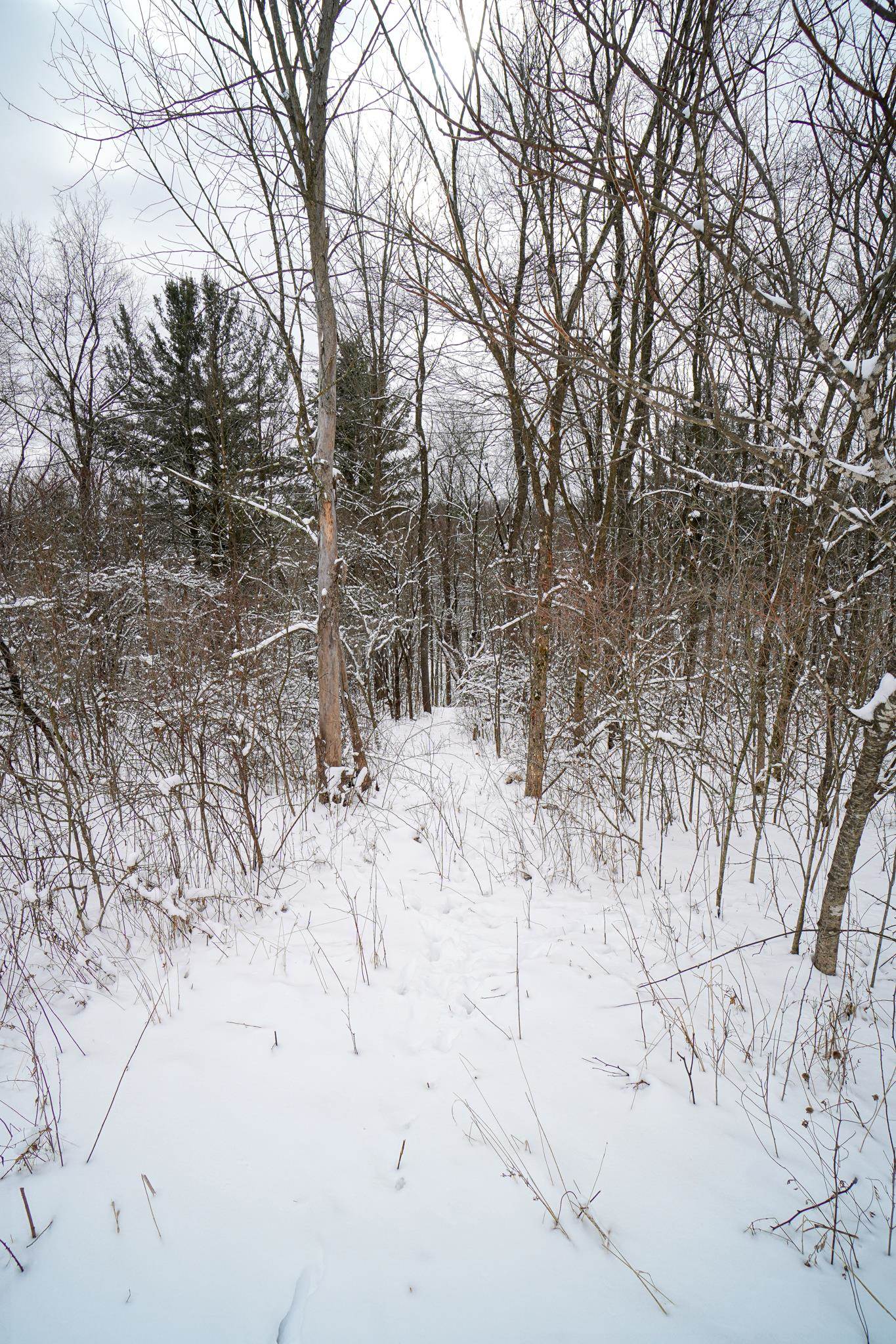 0 Lovers Lane Elroy, WI 53929 - Photo 32 of 46