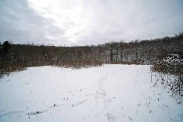 $325,000 | 0 Lovers Lane, Elroy, WI 53929