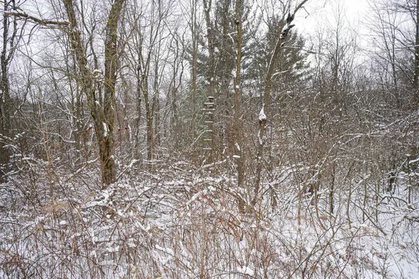 $325,000 | 0 Lovers Lane, Elroy, WI 53929