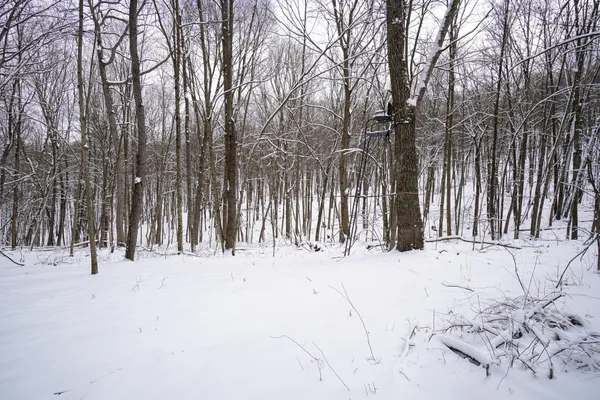 $325,000 | 0 Lovers Lane, Elroy, WI 53929