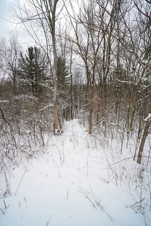 $325,000 | 0 Lovers Lane, Elroy, WI 53929