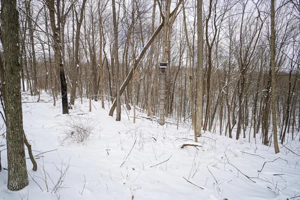 $325,000 | 0 Lovers Lane, Elroy, WI 53929