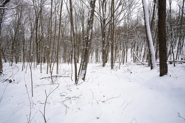 $325,000 | 0 Lovers Lane, Elroy, WI 53929