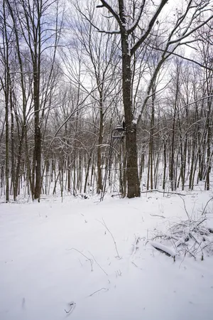 $325,000 | 0 Lovers Lane, Elroy, WI 53929