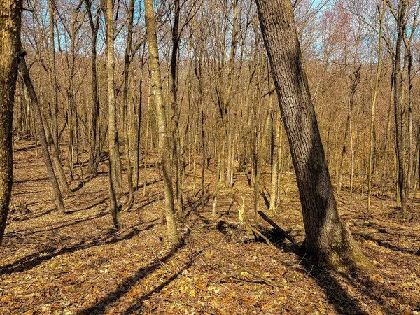 $325,000 | 0 Lovers Lane, Elroy, WI 53929