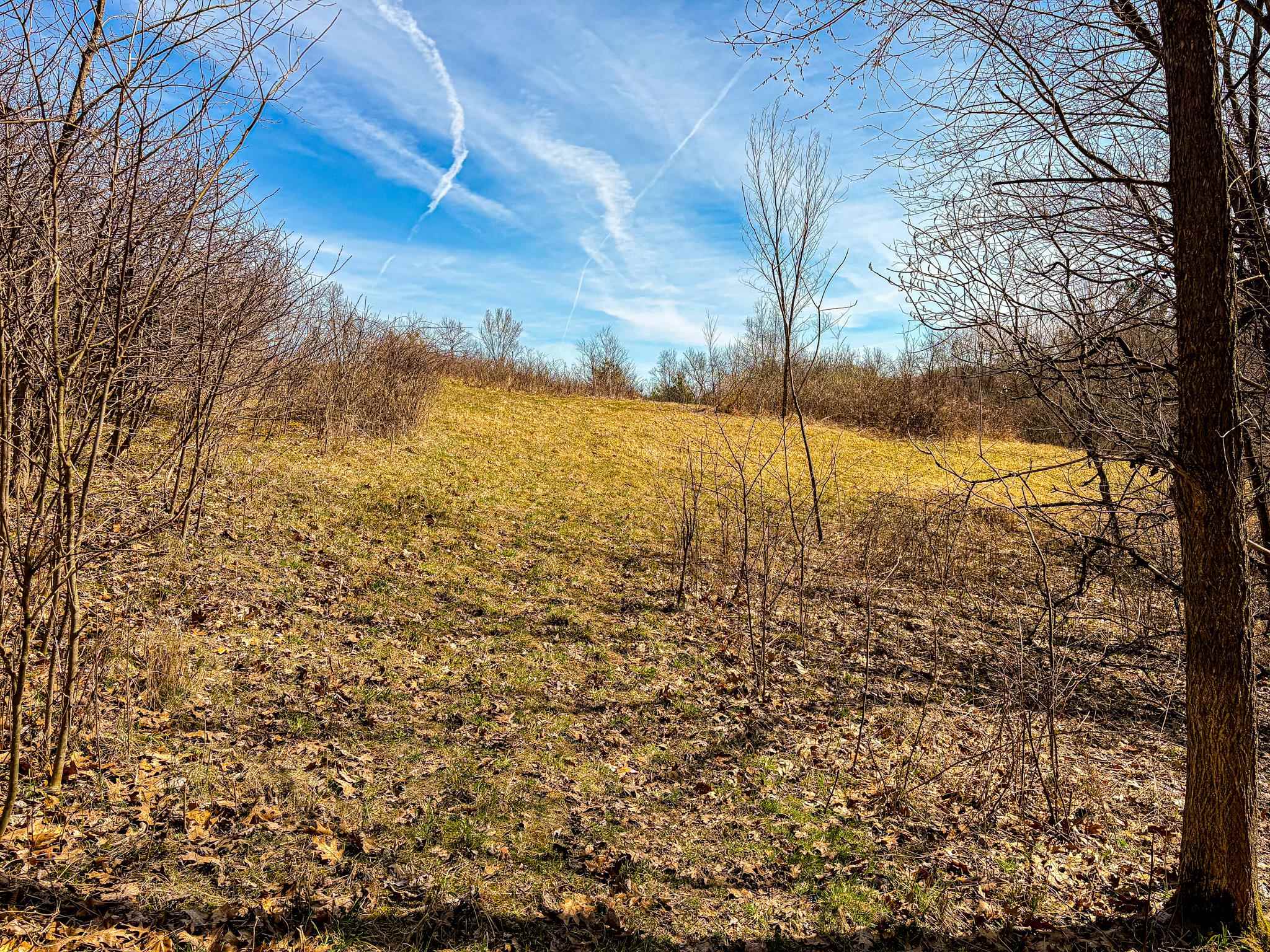 0 Lovers Lane Elroy, WI 53929 - Photo 45 of 46