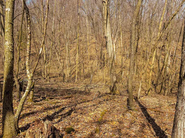 $325,000 | 0 Lovers Lane, Elroy, WI 53929