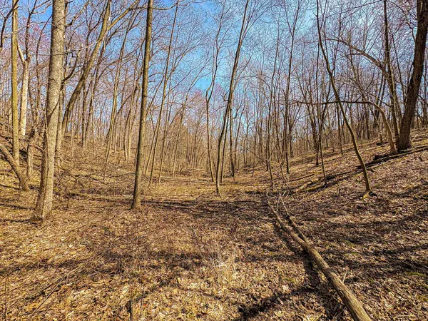 $325,000 | 0 Lovers Lane, Elroy, WI 53929