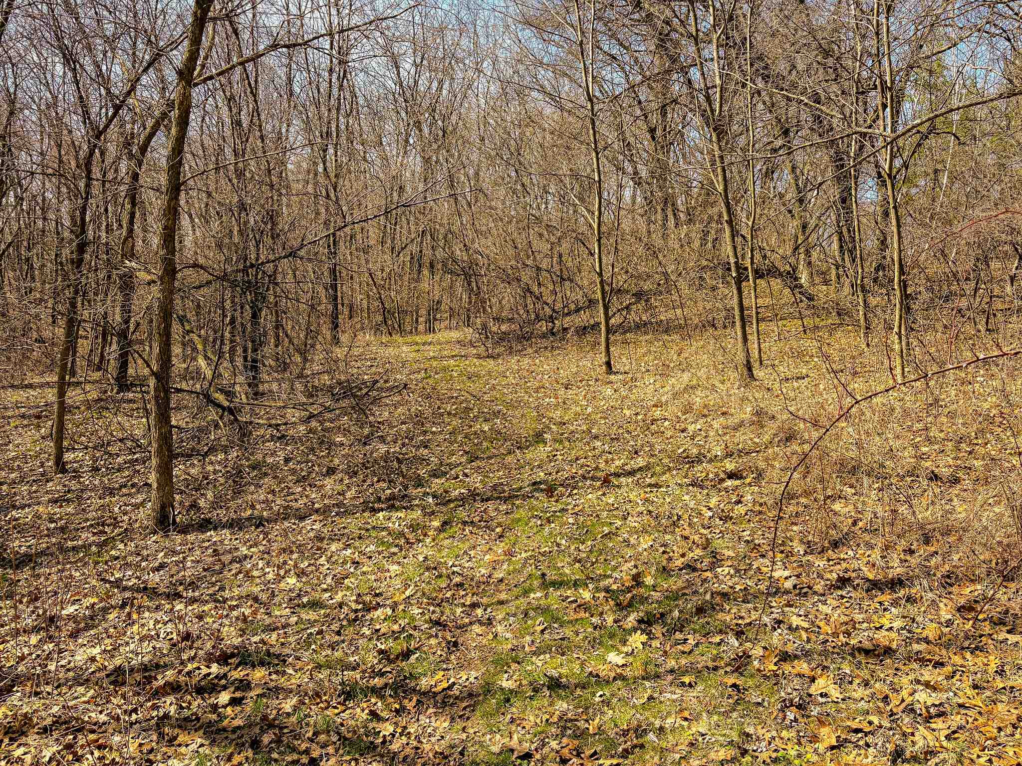 0 Lovers Lane Elroy, WI 53929 - Photo 46 of 46