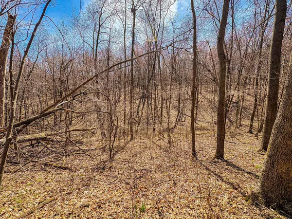 $325,000 | 0 Lovers Lane, Elroy, WI 53929