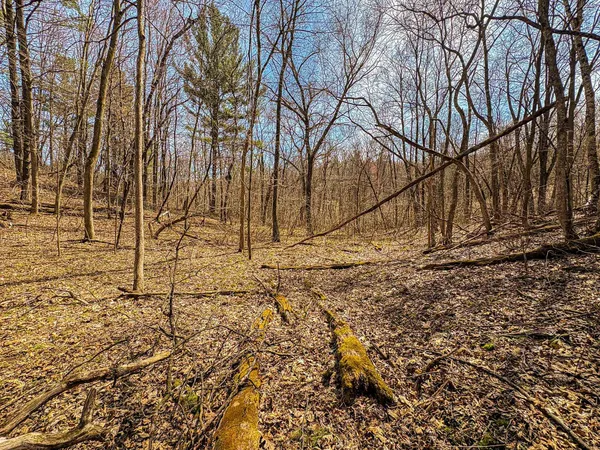 $325,000 | 0 Lovers Lane, Elroy, WI 53929