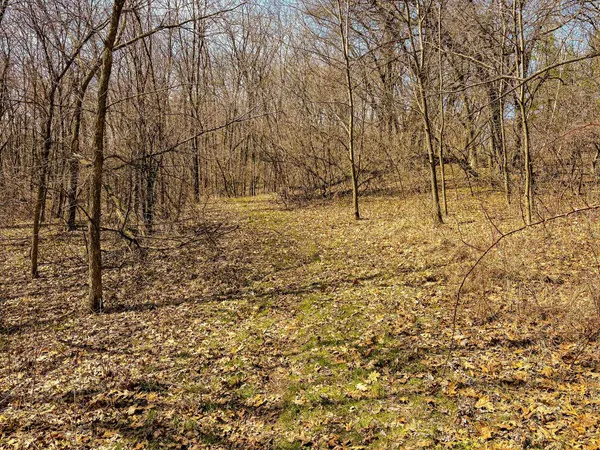 $325,000 | 0 Lovers Lane, Elroy, WI 53929