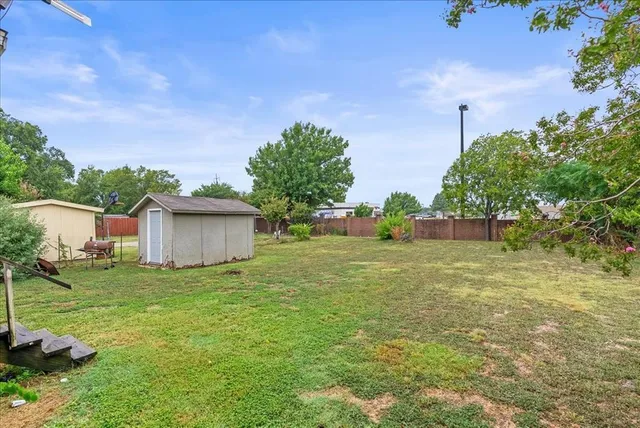 a view of a backyard with plants and a large tree