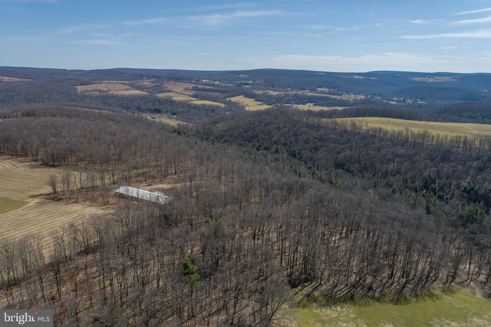 616 Crab Run Road Grantsville, MD 21536 - Photo 12 of 43