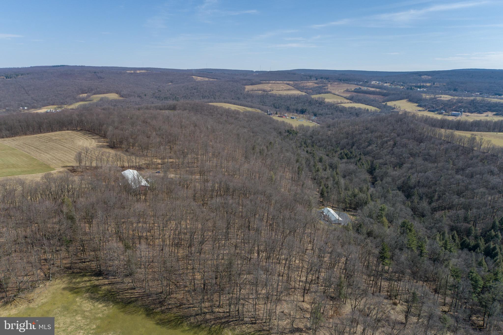 616 Crab Run Road Grantsville, MD 21536 - Photo 13 of 43 a view of city and mountain