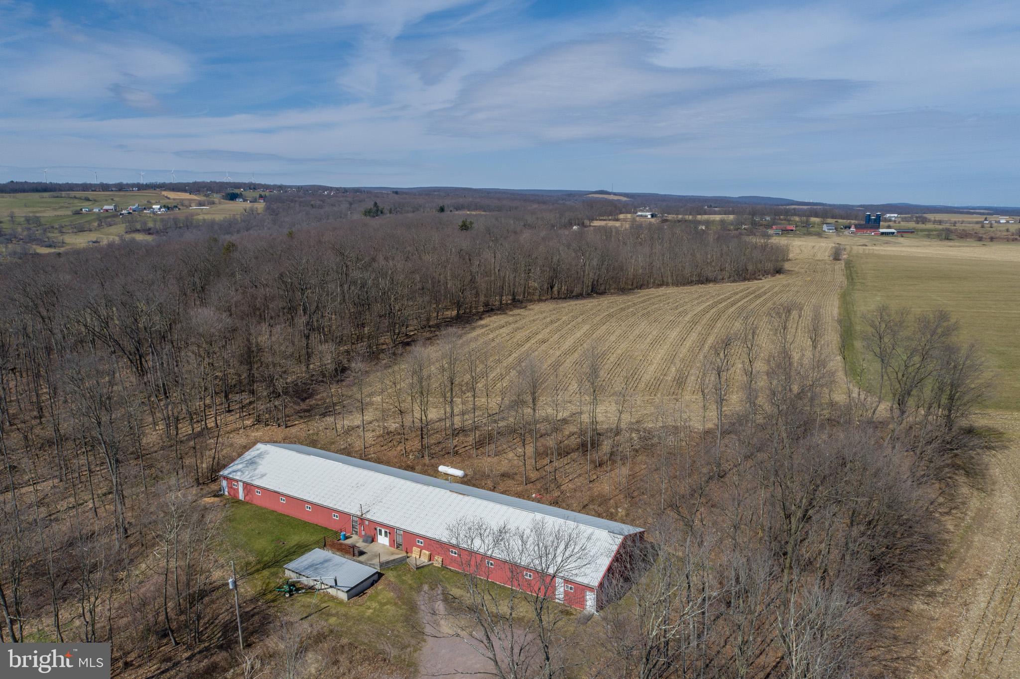 616 Crab Run Road Grantsville, MD 21536 - Photo 6 of 43 a view of a terrace