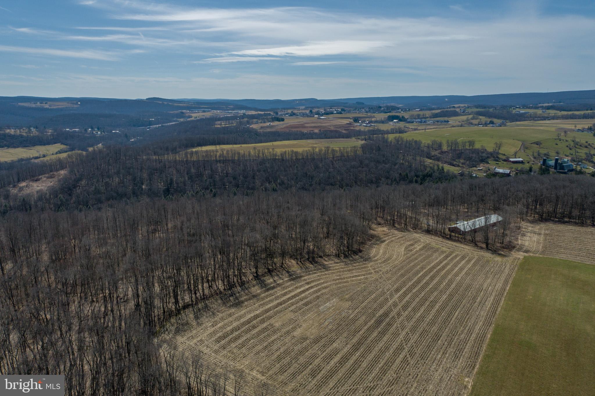 616 Crab Run Road Grantsville, MD 21536 - Photo 9 of 43 a view of lake with mountain