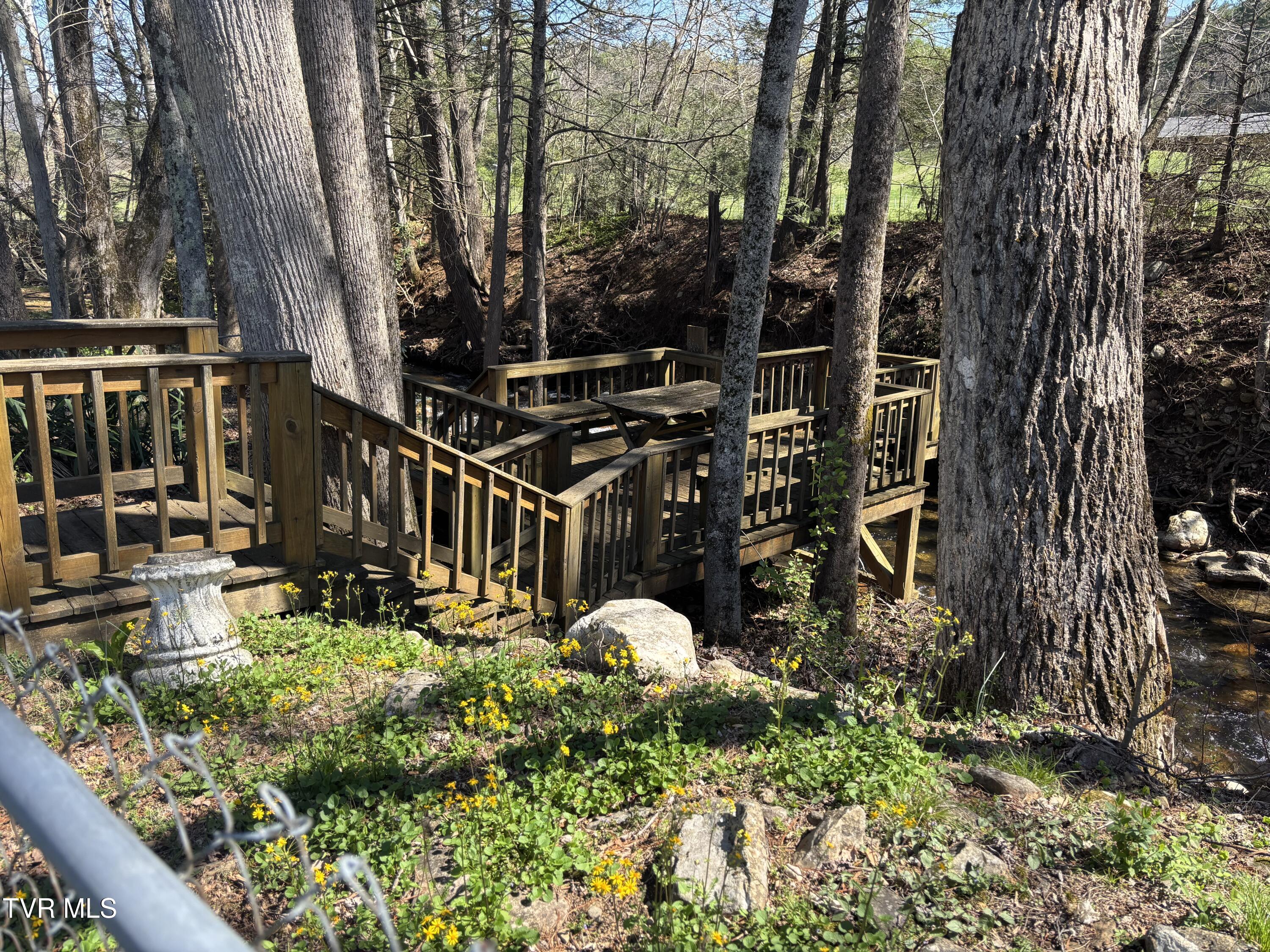 1867 Gentry Creek Road Laurel Bloomery, TN 37680 - Photo 11 of 30 IMG_5335