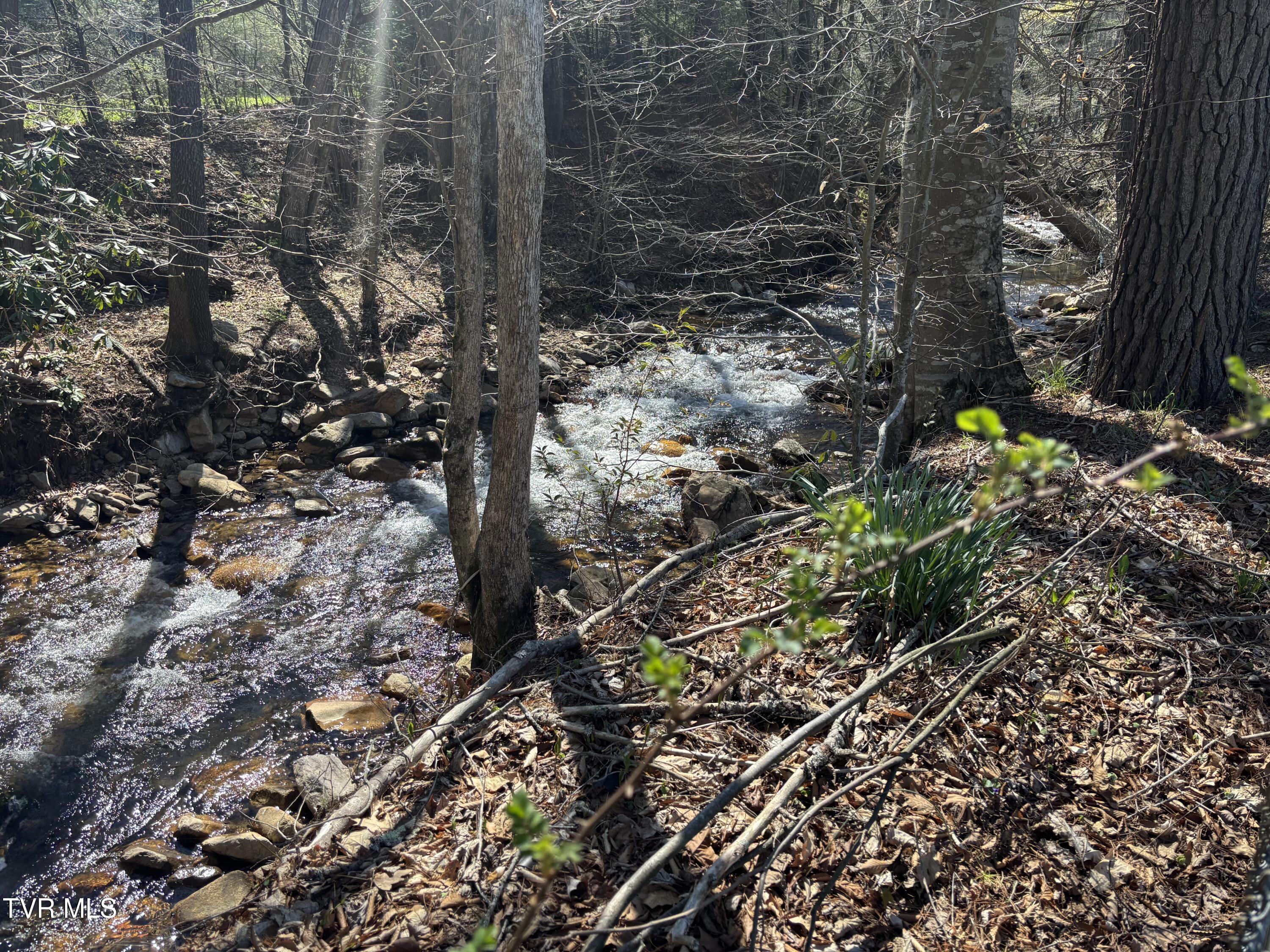1867 Gentry Creek Road Laurel Bloomery, TN 37680 - Photo 9 of 30 IMG_5333