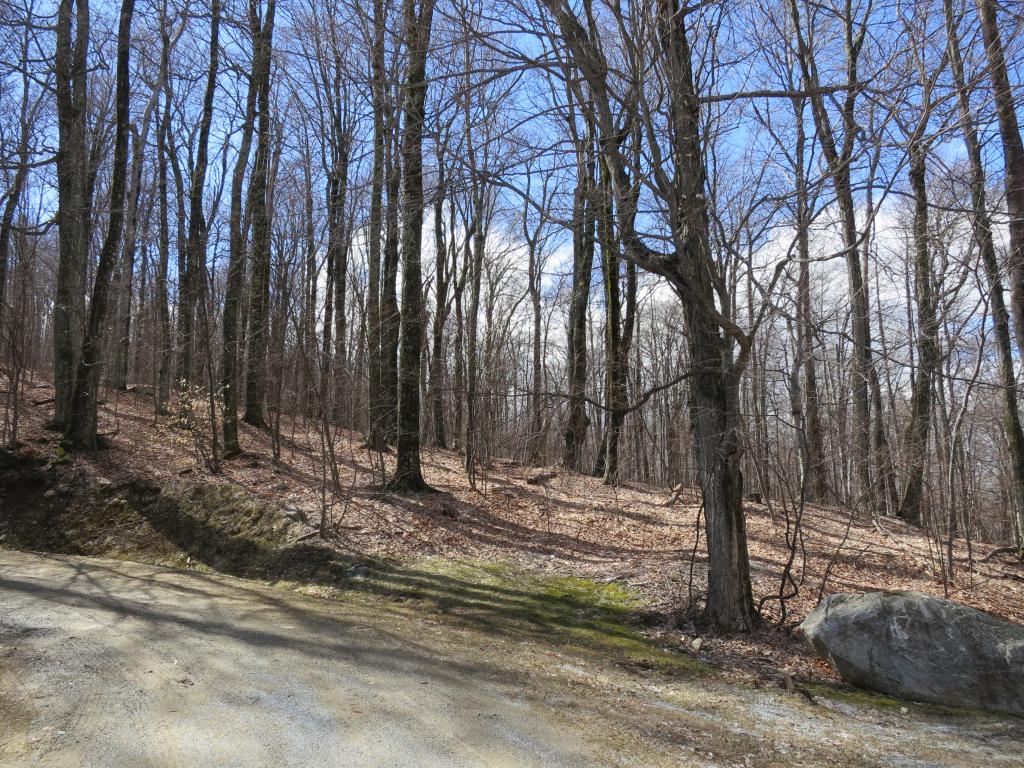 38 Birch Hill Road, Unit 7 Winhall, VT 05340 - Photo 17 of 24